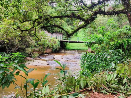 PHOTO-2025-04-27-17-34-38 (2)