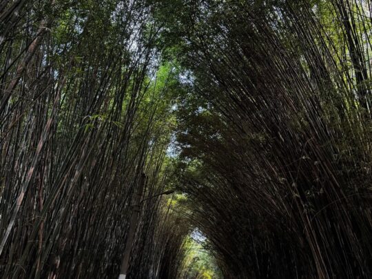 PHOTO-2025-04-28-17-09-44 (1)