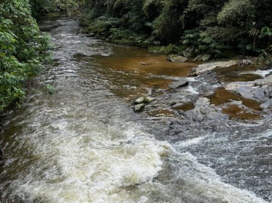 PHOTO-2025-04-28-17-14-42 (2)