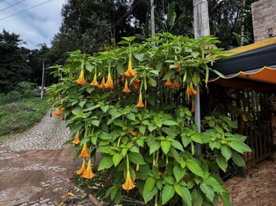 PHOTO-2025-04-28-17-14-42 (8)