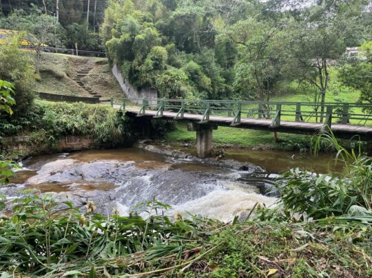 1db09721-5283-4682-96b4-02607473a1b2